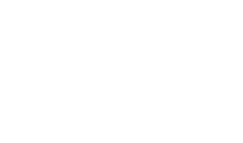 Wyt Falcon